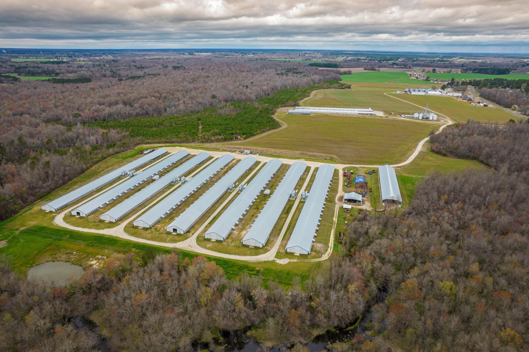 Internal biosecurity at farm level