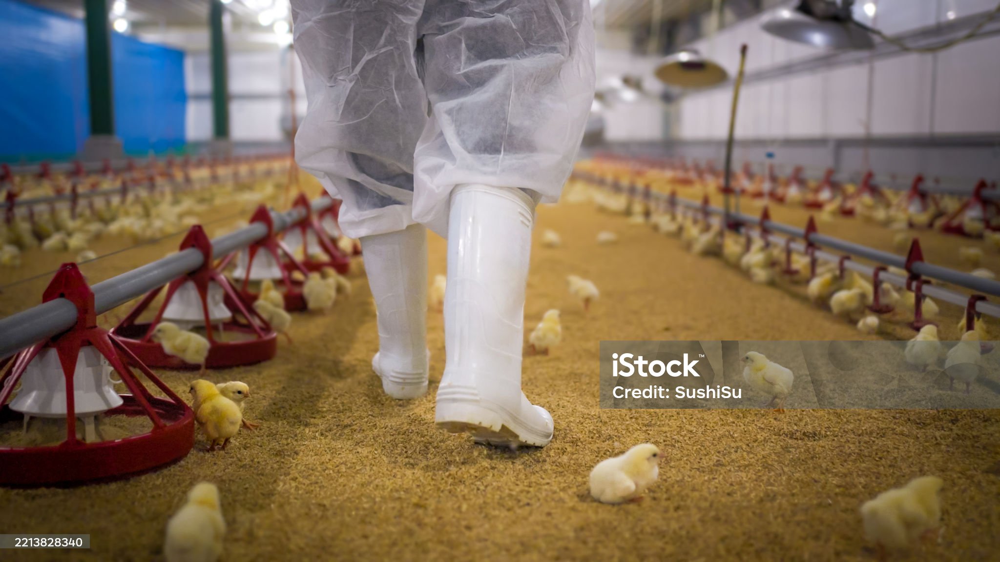 Farm biosecurity: principles & Impacts